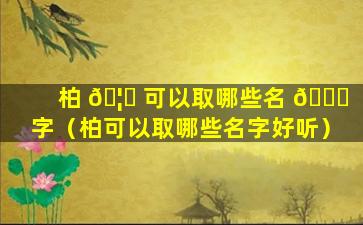 柏 🦉 可以取哪些名 🍀 字（柏可以取哪些名字好听）